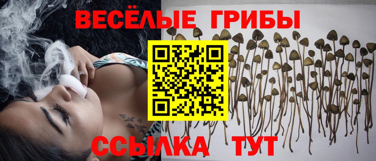 Псилоцибиновые грибы Psilocybine cubensis  Вход с VPN  Псилоцибиновые грибы мухоморы  купить закладку  Обнинск 