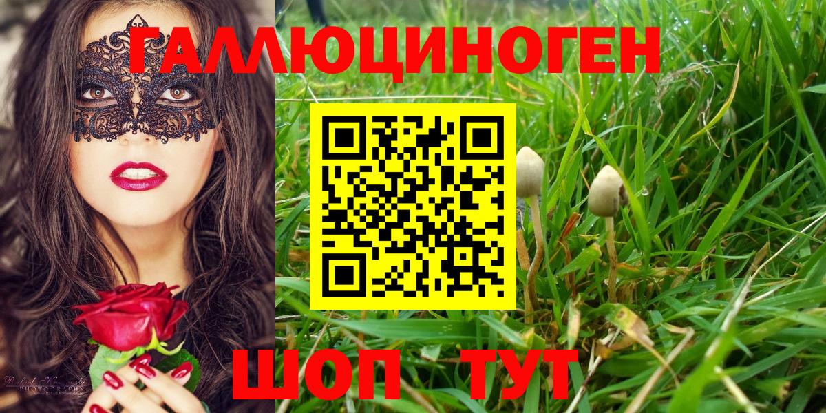 Псилоцибиновые грибы ЛСД Обнинск